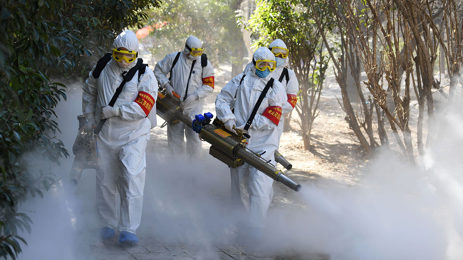 Fumigation Services in Islamabad and Pest Control Service