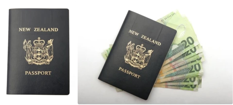 New Zealand Tourist Visa