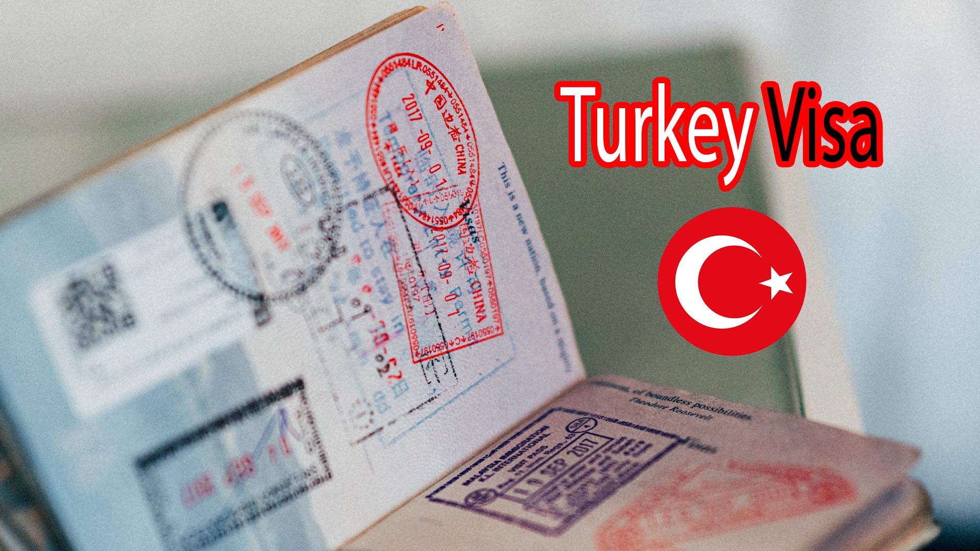 Emergency Visa for Turkey